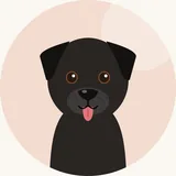 Labradorinnoutaja